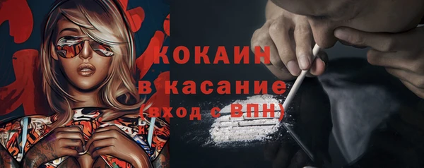 spice Аркадак