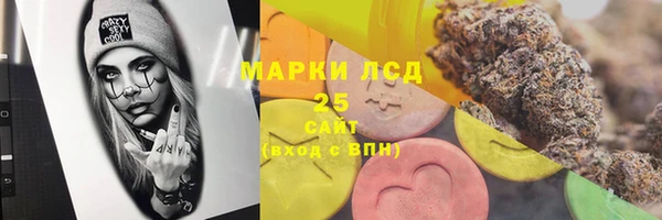 spice Аркадак