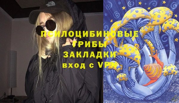 spice Аркадак