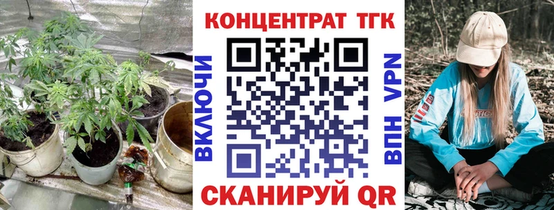 ТГК Wax  Бабаево 