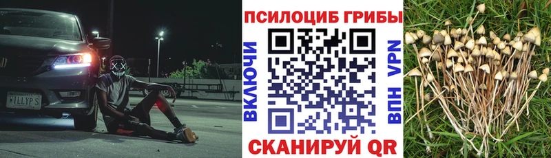 Псилоцибиновые грибы ЛСД  Бабаево 