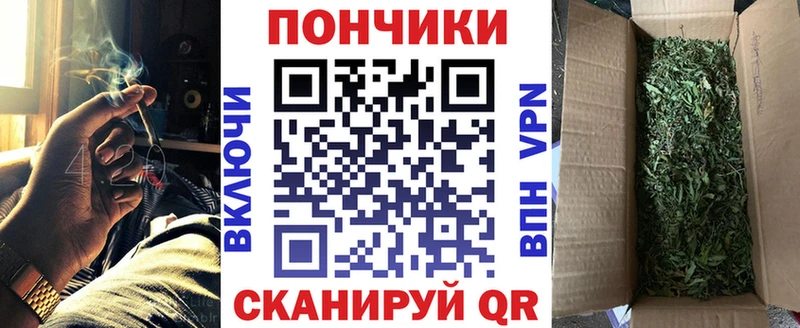 Бошки марихуана AK-47  купить закладку  Бабаево 